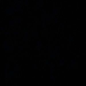 Meet your Posher, Lea